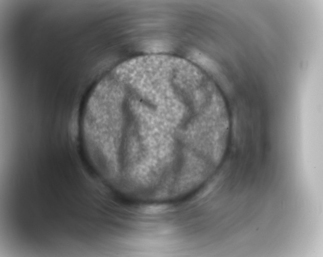 X0000088720202200706212026