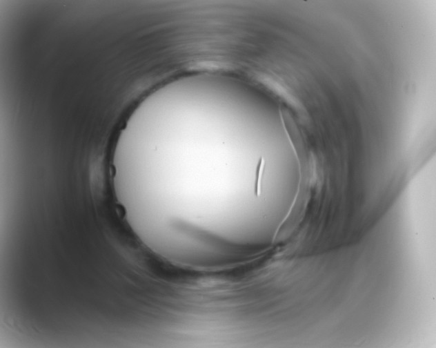 X0000088720204200706212026