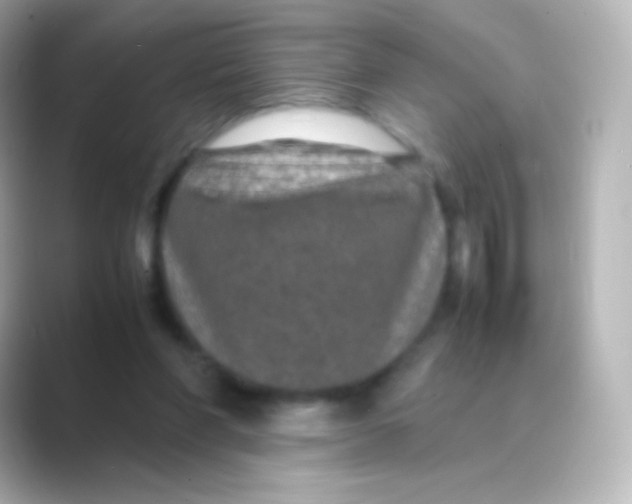 X0000088720206200706212026