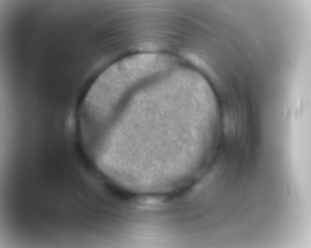 X0000088720208200706212026