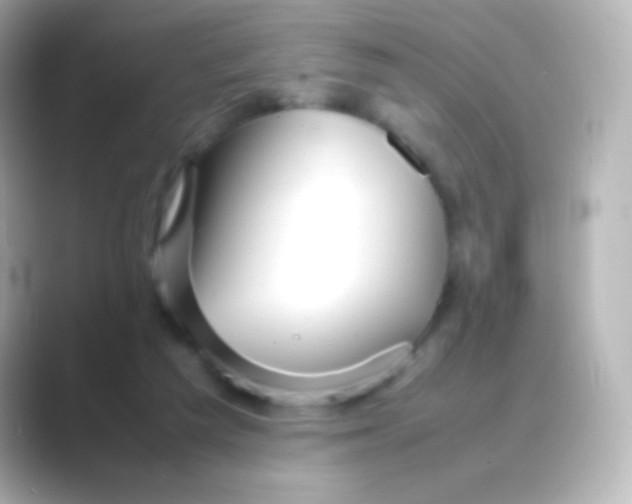 X0000088720209200706212026