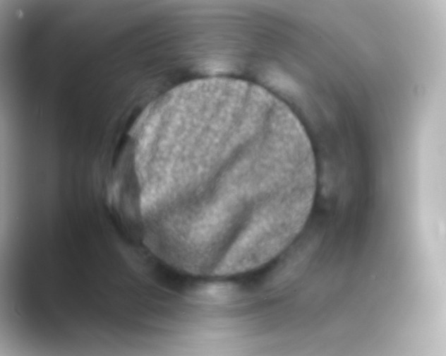 X0000088720210200706212026