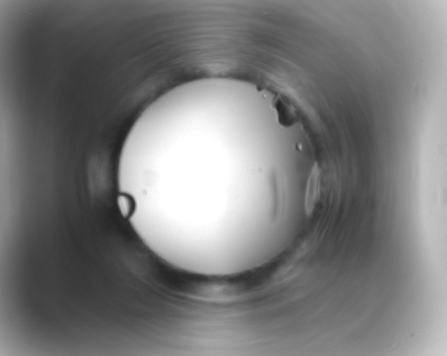 X0000088720212200706212026