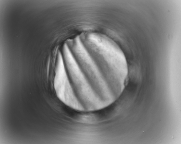 X0000088720215200706212026