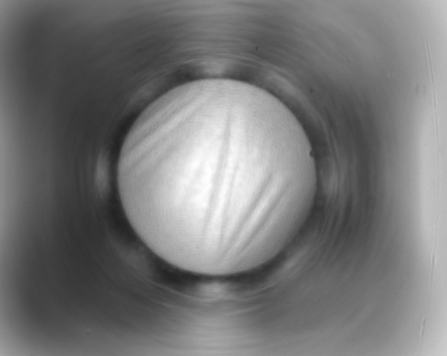 X0000088720216200706212026