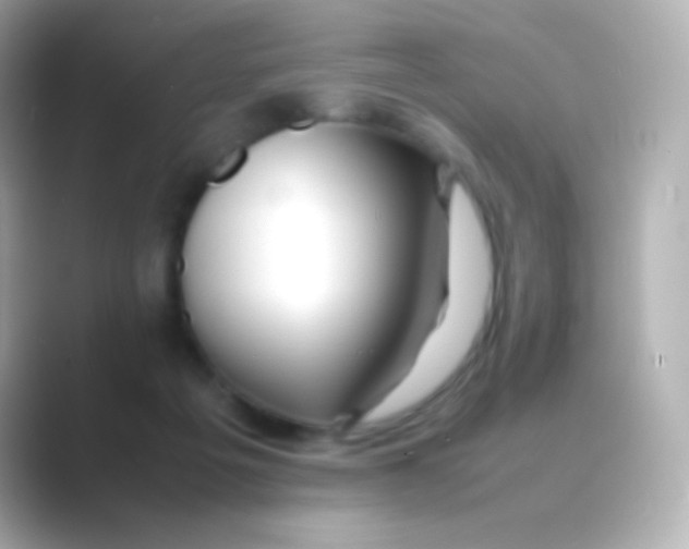 X0000088720217200706212026