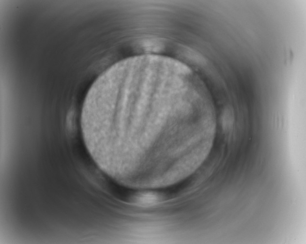 X0000088720218200706212026