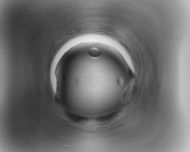 X0000088720219200706212026