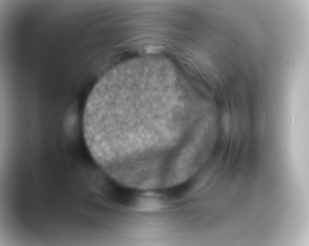 X0000088720222200706212026