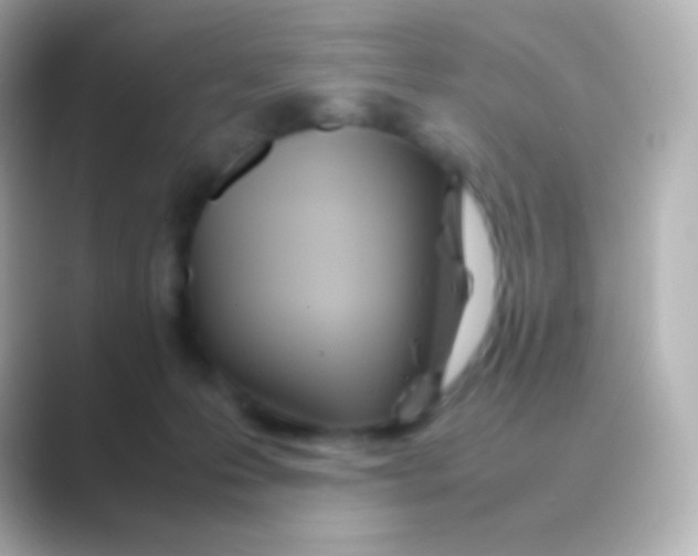 X0000088720223200706212026