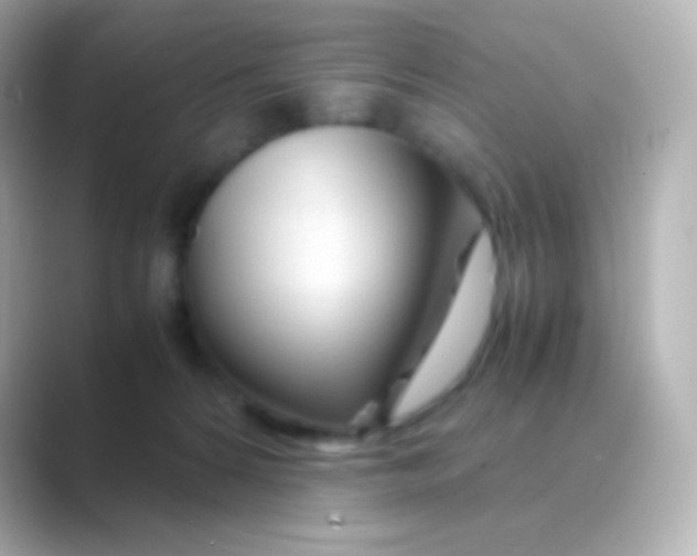 X0000088720224200706212026