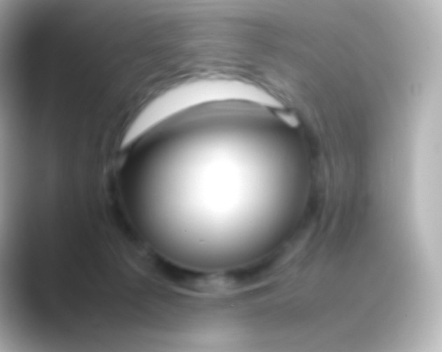 X0000088720225200706212026