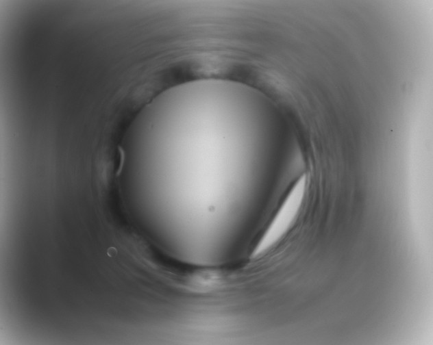 X0000088720227200706212026