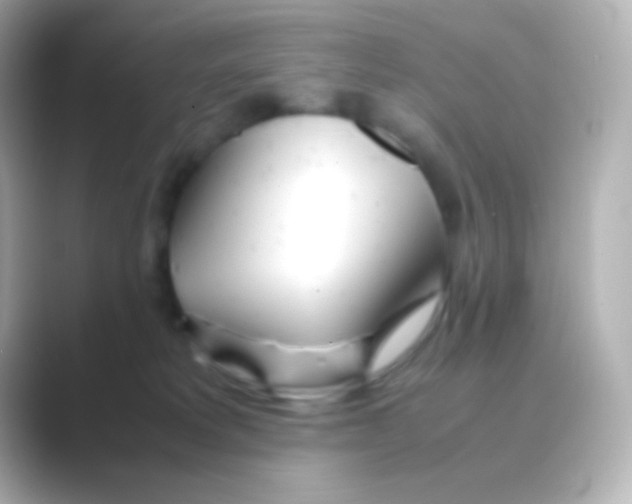 X0000088720229200706212026