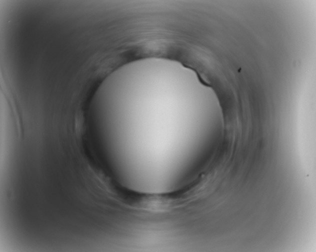 X0000088720231200706212026