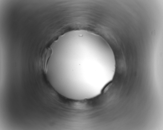 X0000088720232200706212026