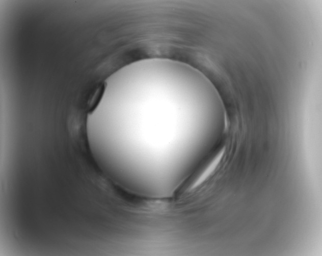 X0000088720233200706212026