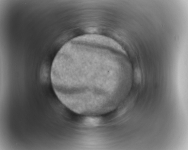 X0000088720234200706212026