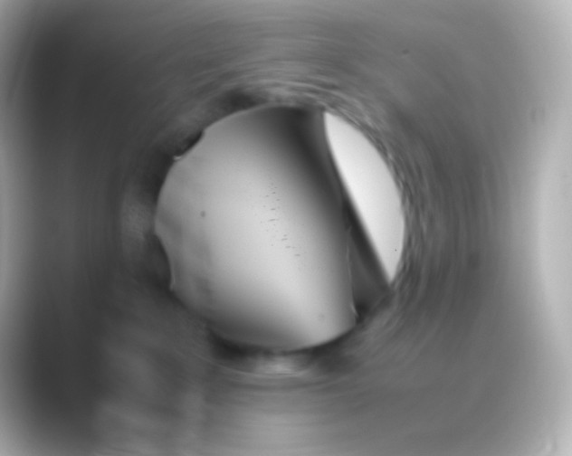 X0000088720235200706212026