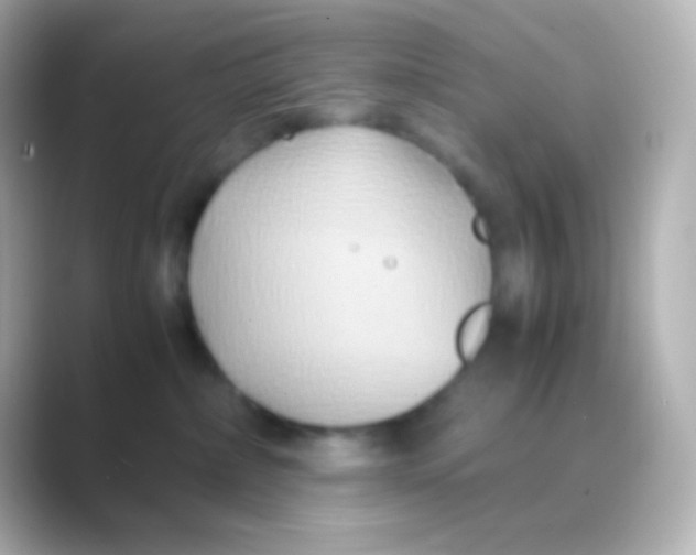 X0000088720236200706212026