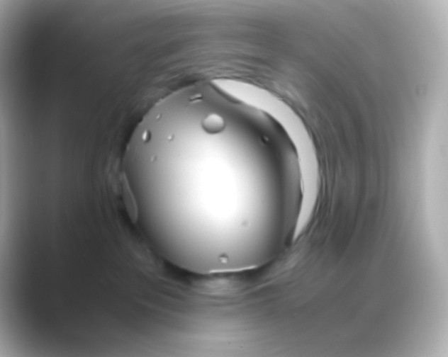 X0000088720237200706212026