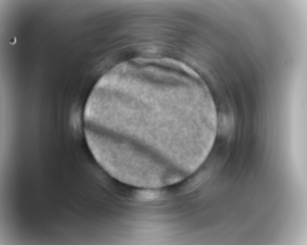 X0000088720238200706212026