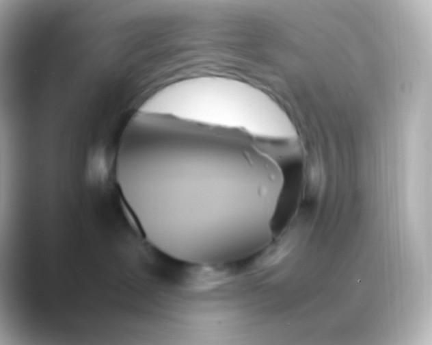 X0000088720239200706212026