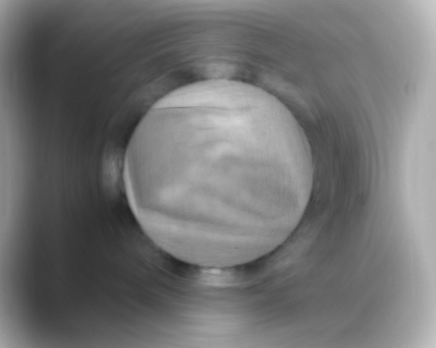 X0000088720240200706212026