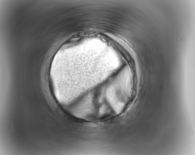 X0000088720241200706212025