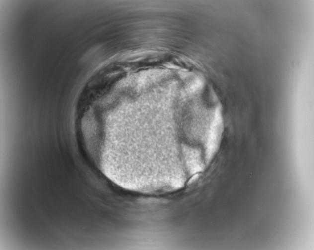 X0000088720242200706212025