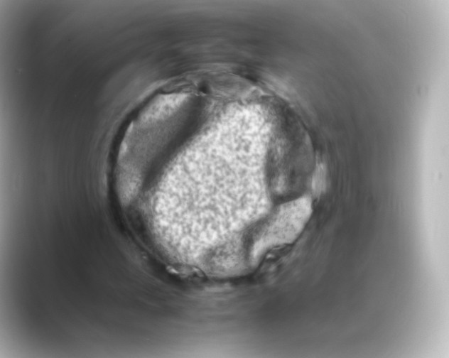 X0000088720243200706212025