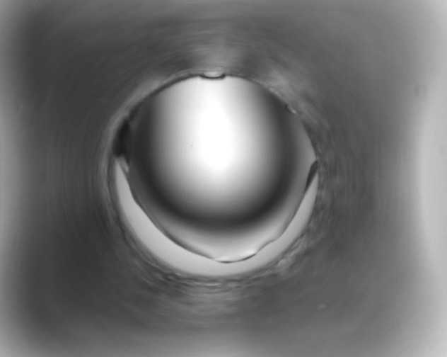 X0000088720244200706212025