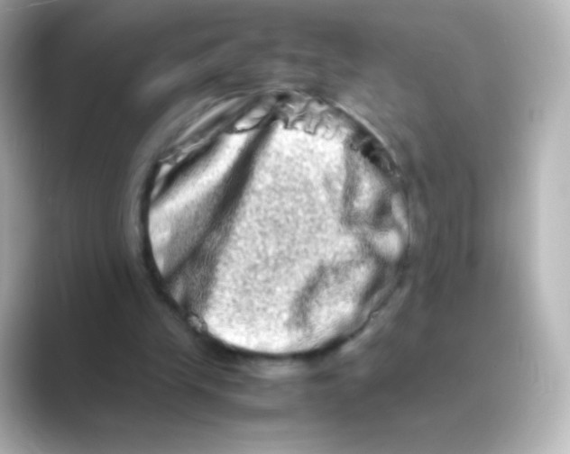 X0000088720245200706212026