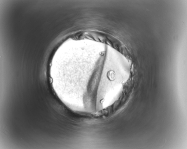 X0000088720246200706212026