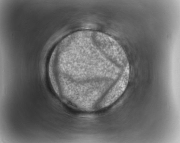 X0000088720247200706212026