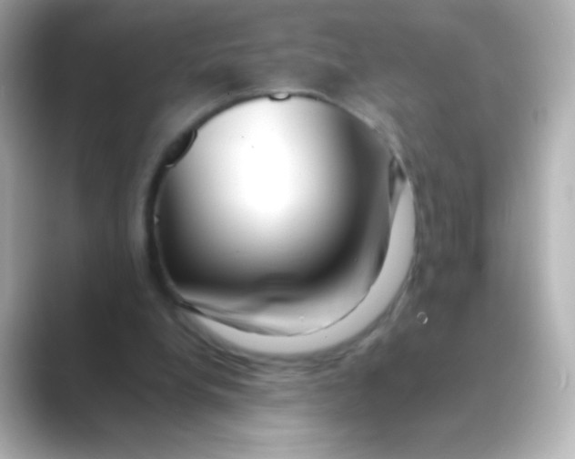 X0000088720248200706212026