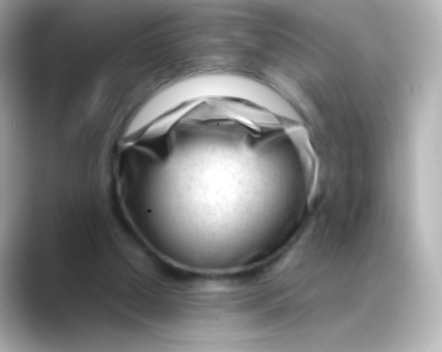 X0000088720250200706212026