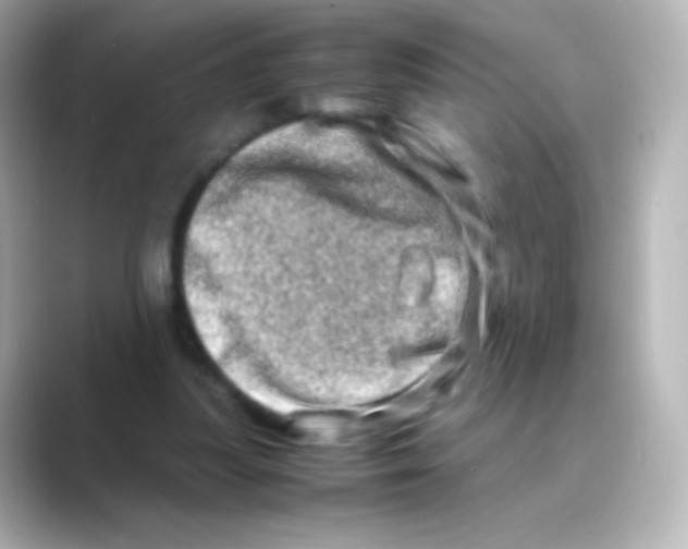 X0000088720251200706212026