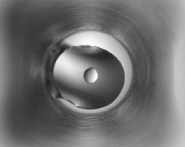 X0000088720252200706212026