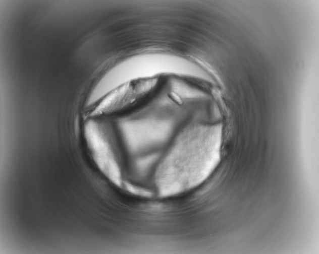 X0000088720253200706212026