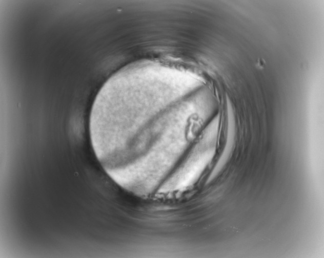 X0000088720255200706212026