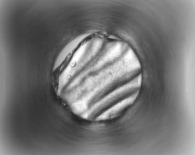 X0000088720257200706212026