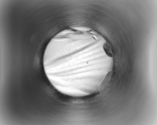 X0000088720258200706212026