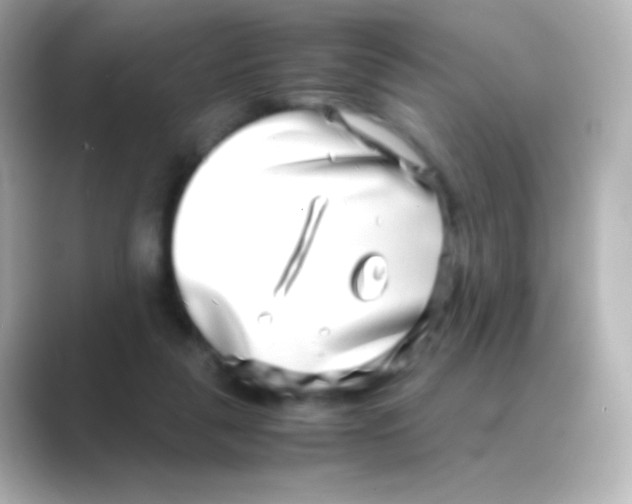 X0000088720259200706212026