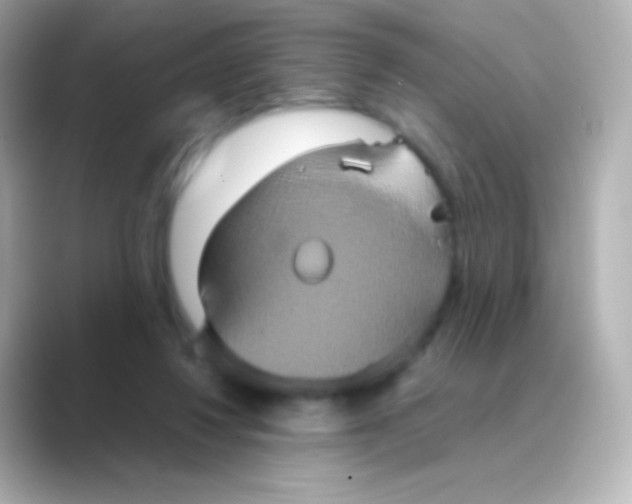 X0000088720260200706212026