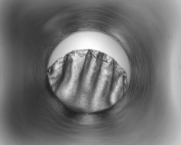 X0000088720261200706212026