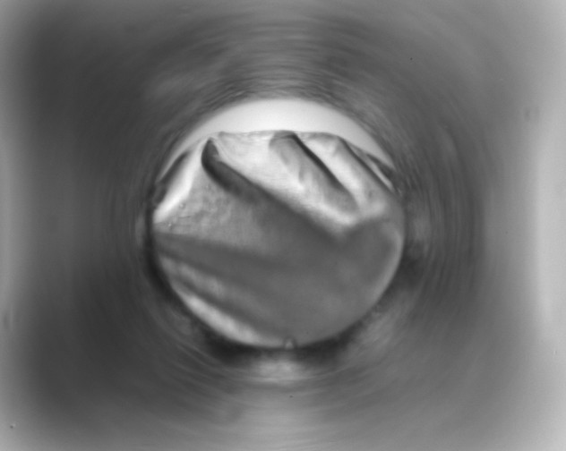 X0000088720262200706212026