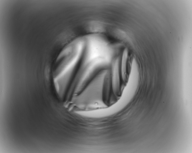 X0000088720263200706212026