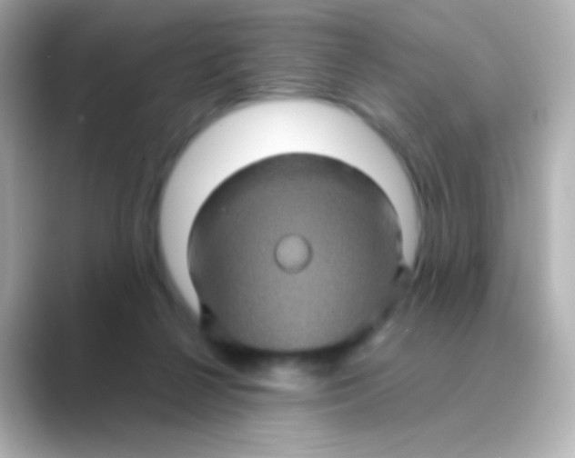 X0000088720264200706212026