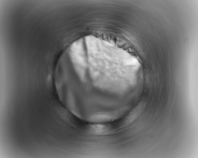 X0000088720265200706212026